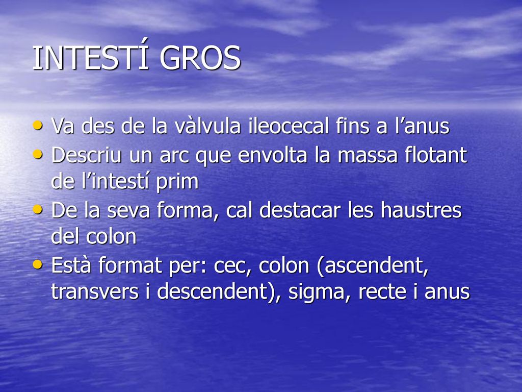 INTESTÍ GROS Va des de la vàlvula ileocecal fins a l’anus