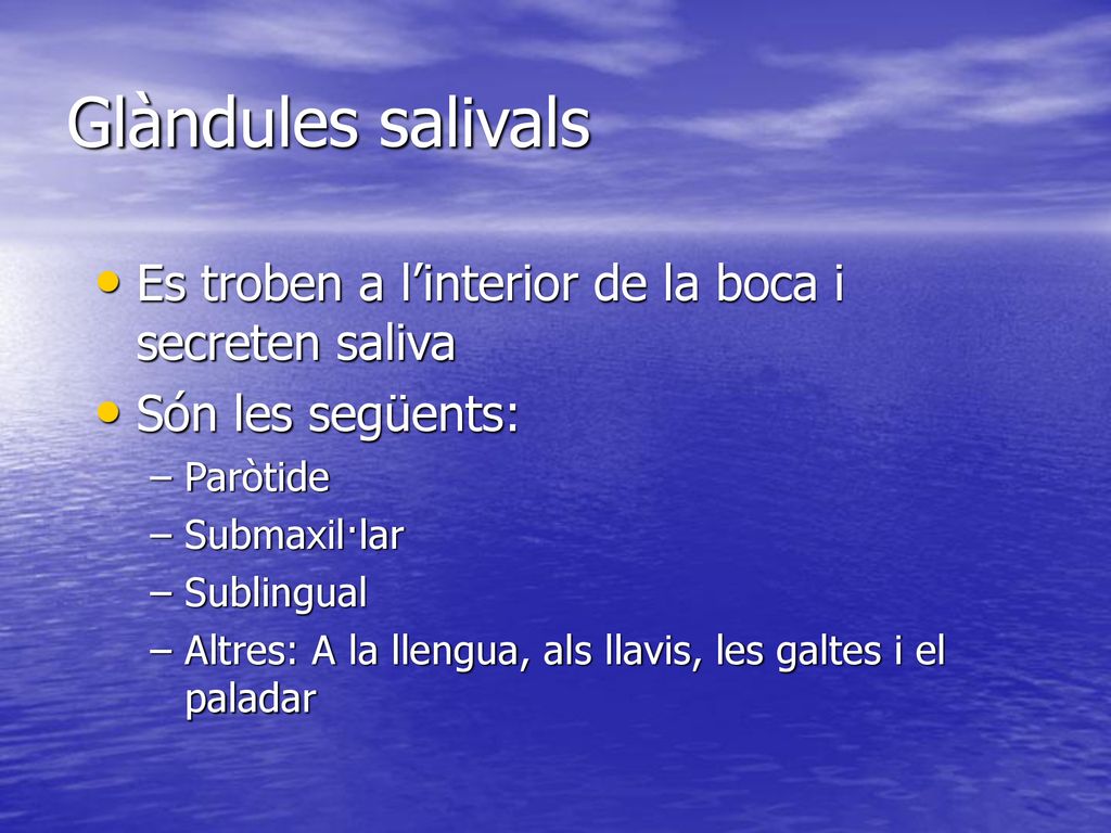 Glàndules salivals Es troben a l’interior de la boca i secreten saliva
