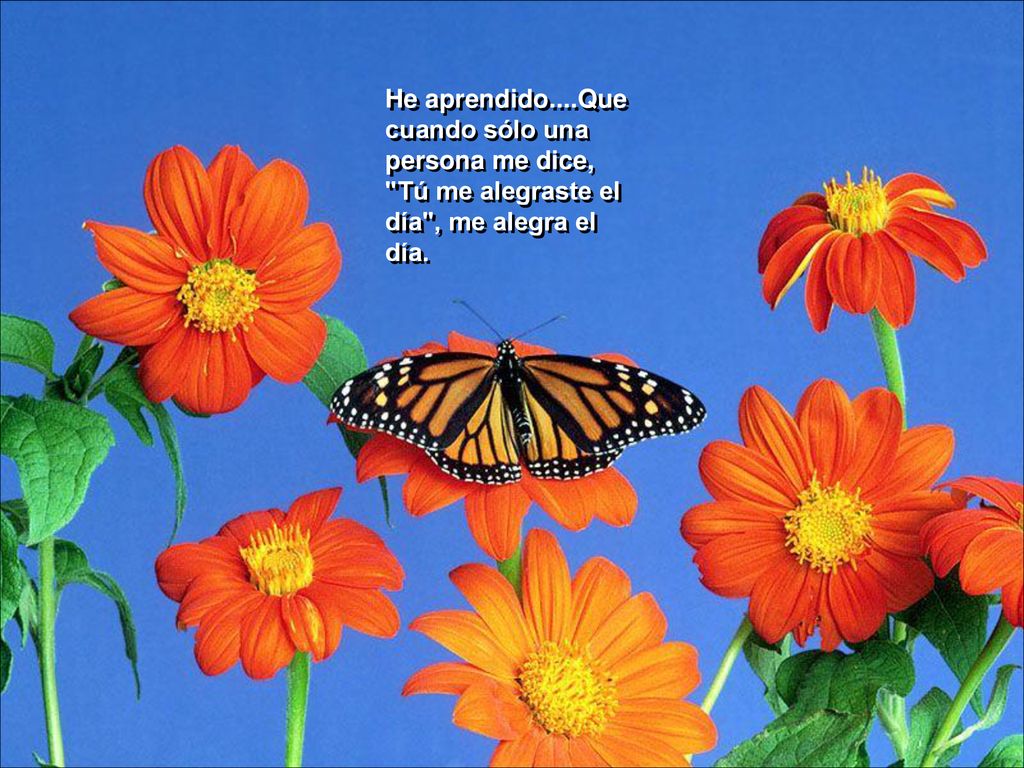 He aprendido....Que cuando sólo una persona me dice, Tú me alegraste el día , me alegra el día.