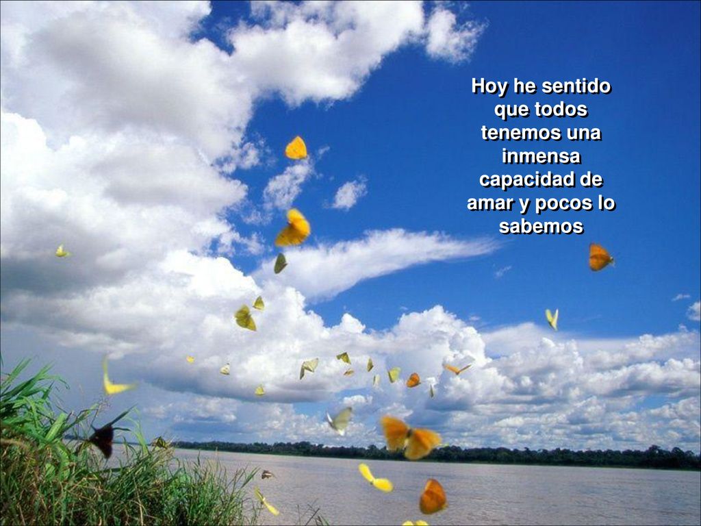 Hoy he sentido que todos tenemos una inmensa capacidad de amar y pocos lo sabemos