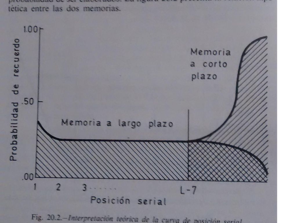 Ps. de la memoria y del pensamiento. Bloque I. Memoria humana
