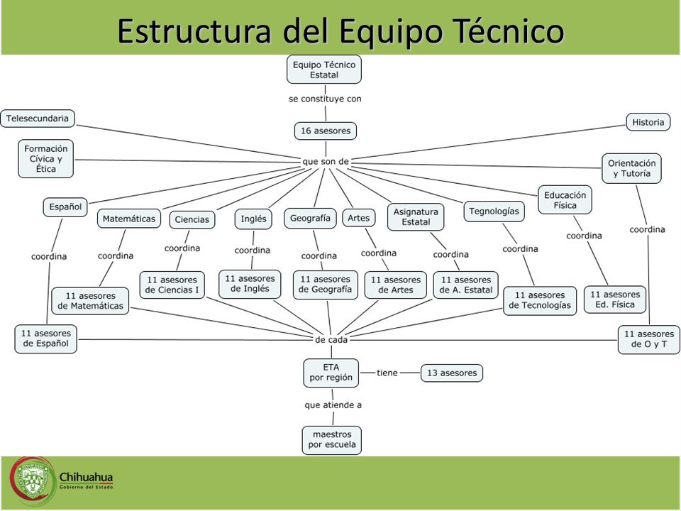 Estructura del Equipo Técnico