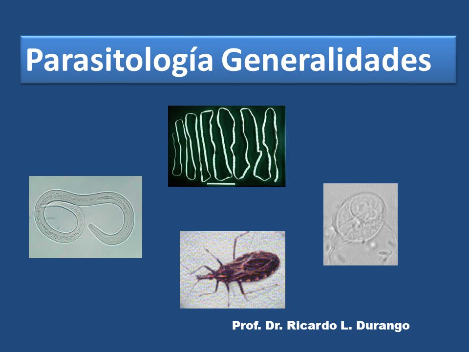 Parasitología Generalidades