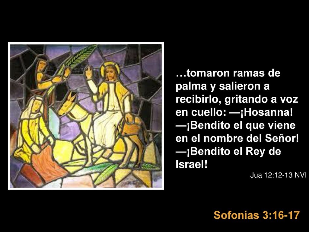 …tomaron ramas de palma y salieron a recibirlo, gritando a voz en cuello: —¡Hosanna! —¡Bendito el que viene en el nombre del Señor! —¡Bendito el Rey de Israel!