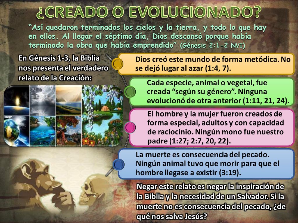Así quedaron terminados los cielos y la tierra, y todo lo que hay en ellos.