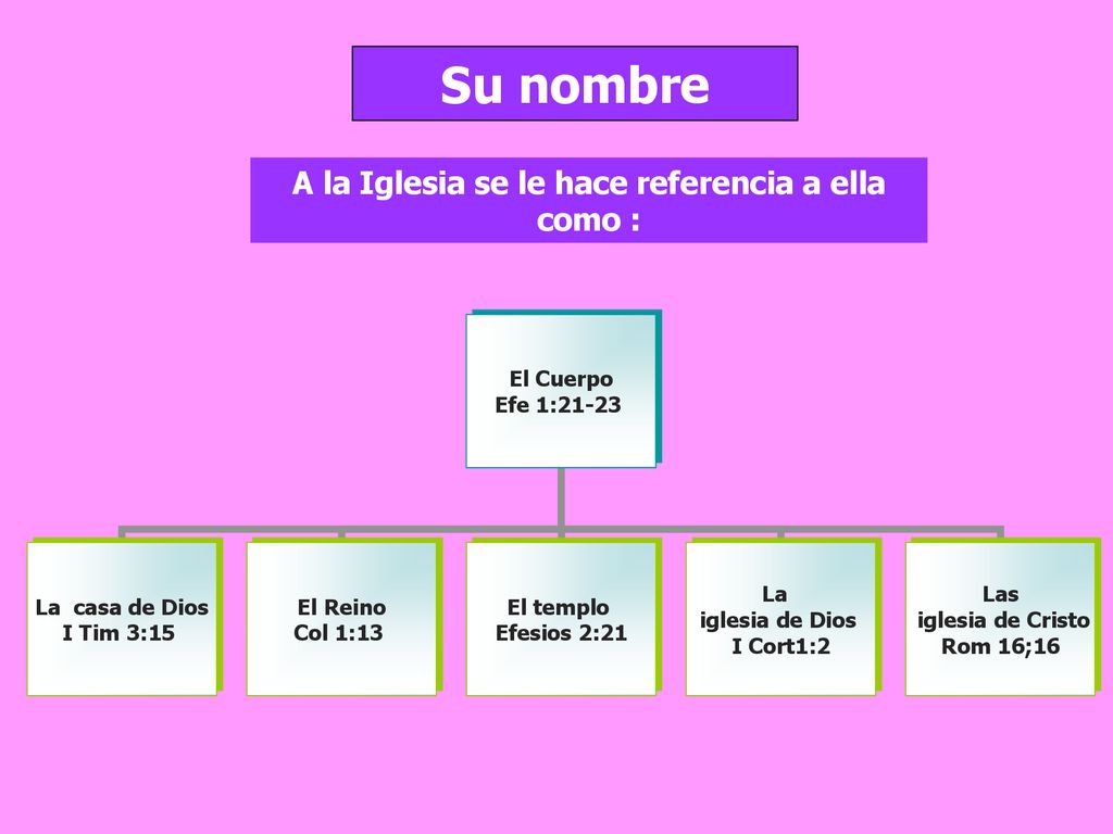 A la Iglesia se le hace referencia a ella como :