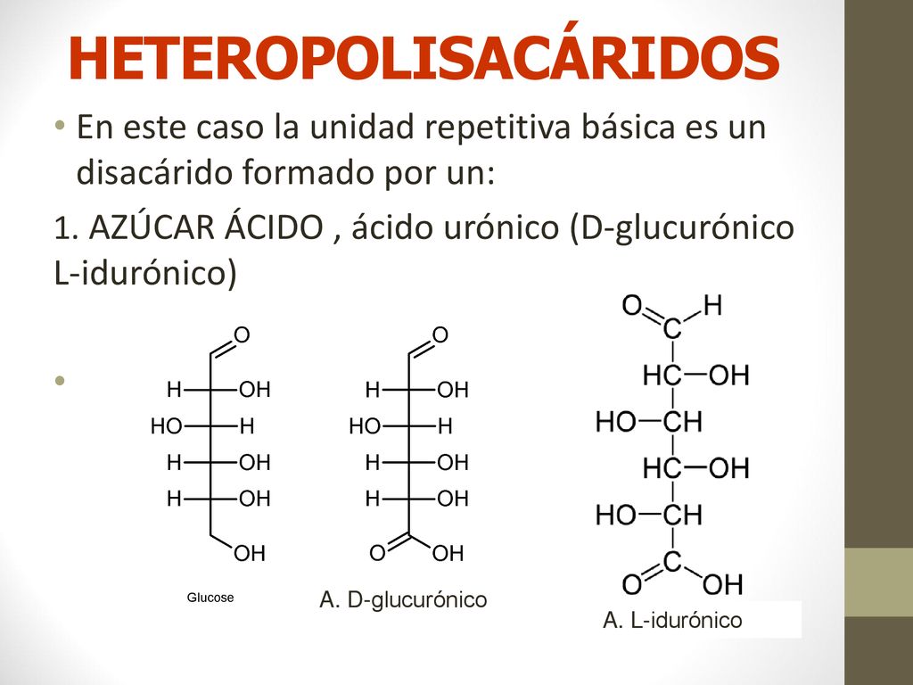 HETEROPOLISACÁRIDOS En este caso la unidad repetitiva básica es un disacárido formado por un: