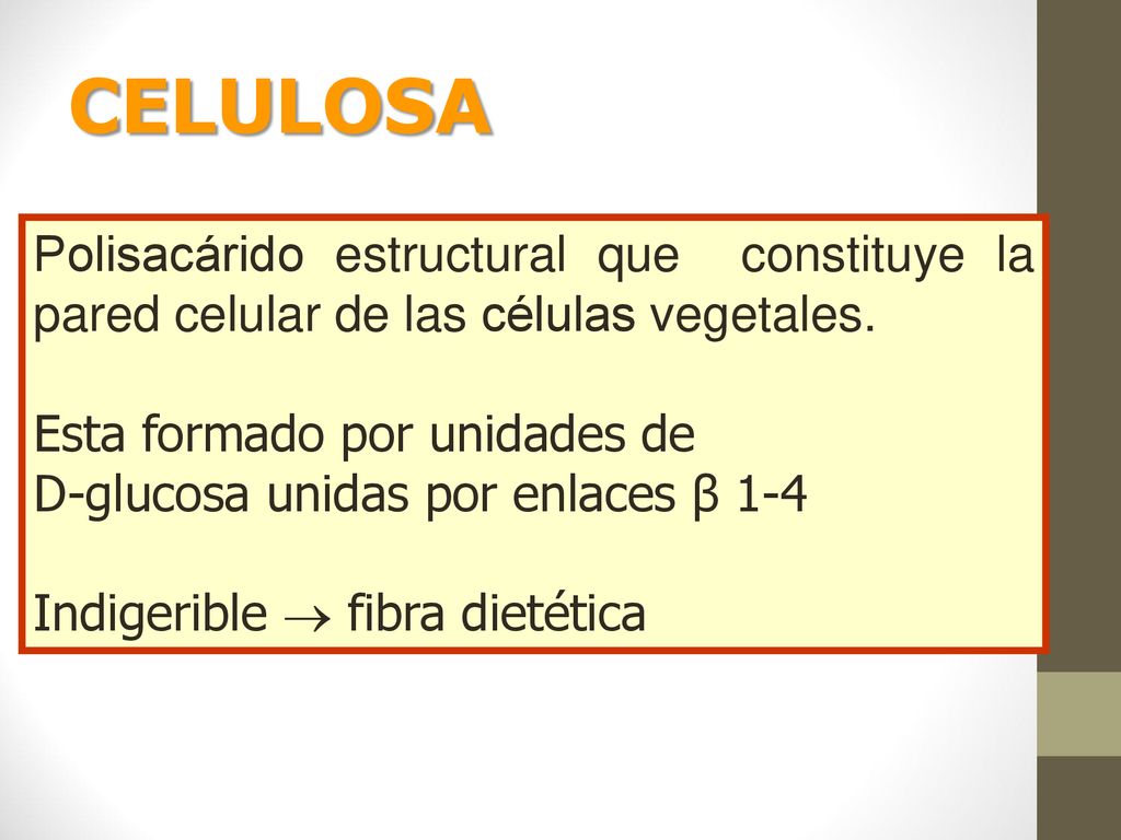 CELULOSA Polisacárido estructural que constituye la pared celular de las células vegetales. Esta formado por unidades de.