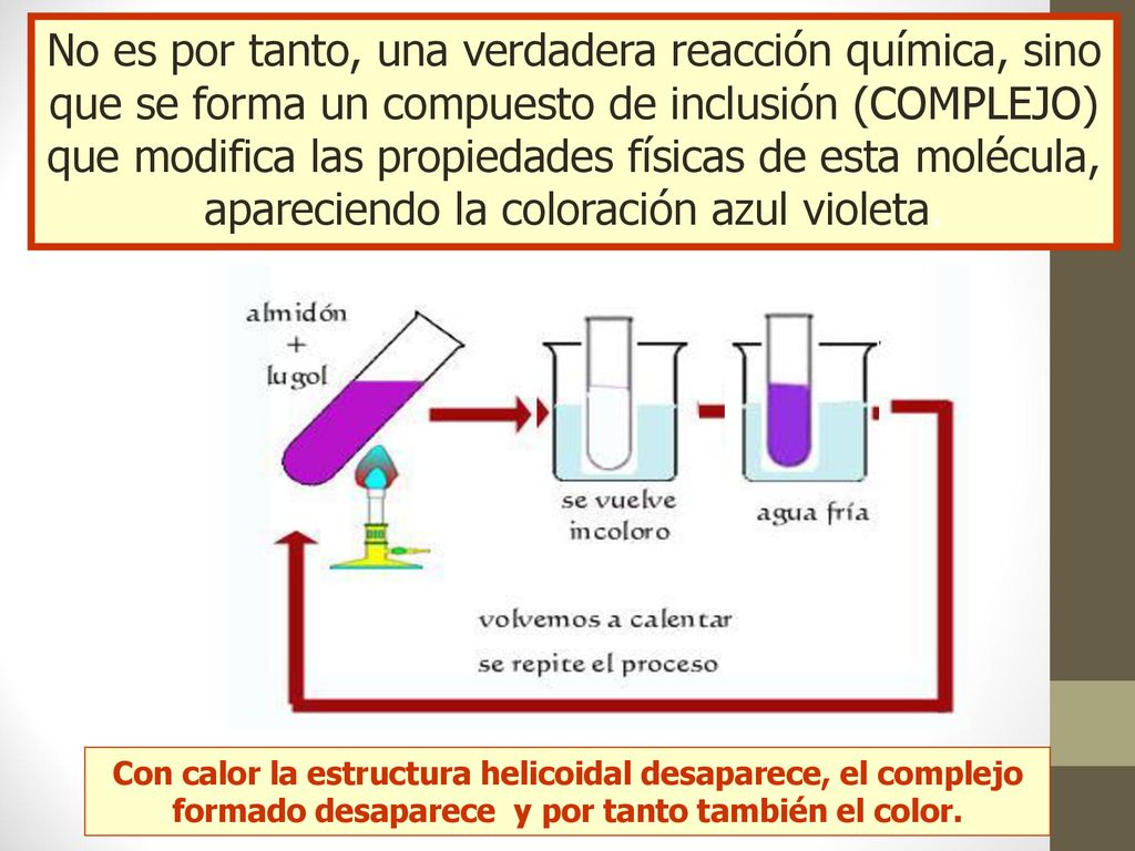 No es por tanto, una verdadera reacción química, sino que se forma un compuesto de inclusión (COMPLEJO) que modifica las propiedades físicas de esta molécula, apareciendo la coloración azul violeta.