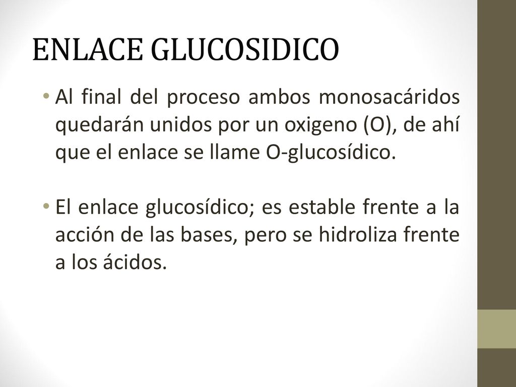 ENLACE GLUCOSIDICO Al final del proceso ambos monosacáridos quedarán unidos por un oxigeno (O), de ahí que el enlace se llame O-glucosídico.