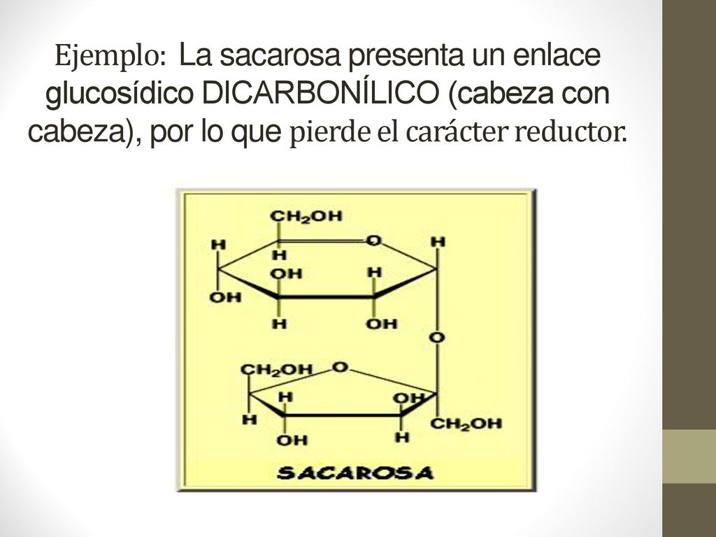 Ejemplo: La sacarosa presenta un enlace glucosídico DICARBONÍLICO (cabeza con cabeza), por lo que pierde el carácter reductor.