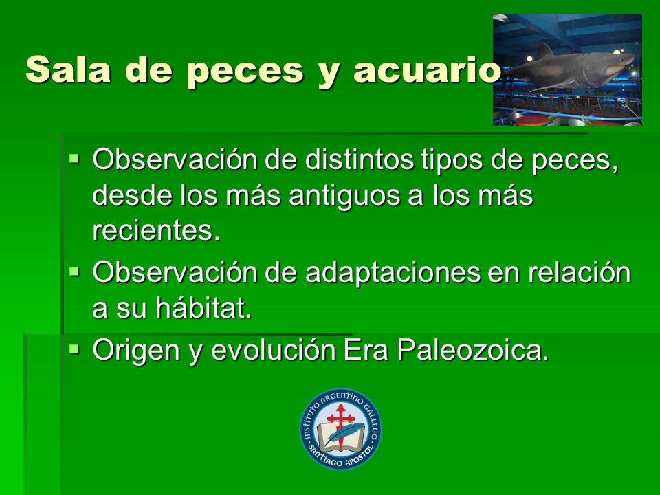 Sala de peces y acuario Observación de distintos tipos de peces, desde los más antiguos a los más recientes.
