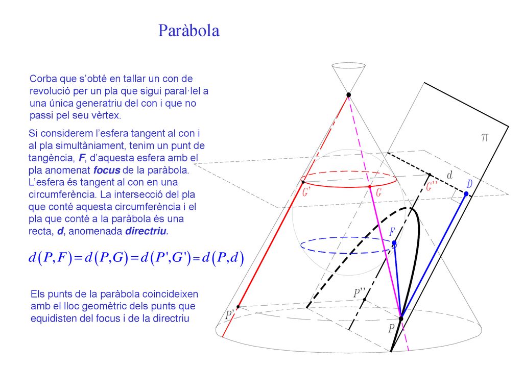 Paràbola Corba que s’obté en tallar un con de revolució per un pla que sigui paral·lel a una única generatriu del con i que no passi pel seu vèrtex.