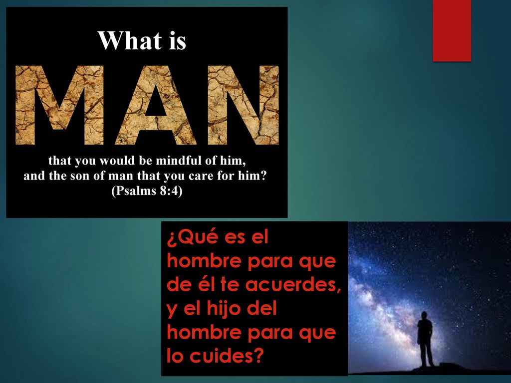 ¿Qué es el hombre para que de él te acuerdes, y el hijo del hombre para que lo cuides
