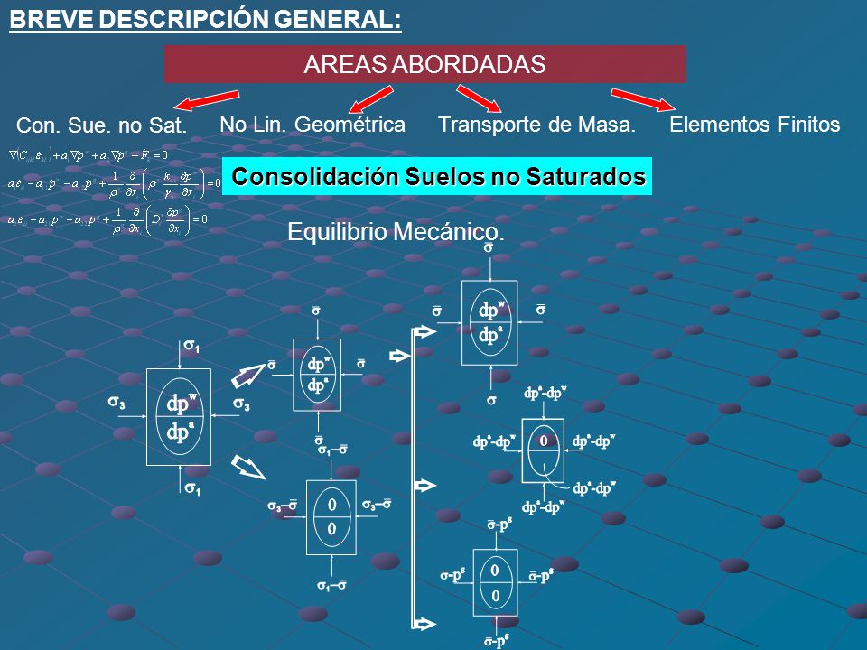 BREVE DESCRIPCIÓN GENERAL: