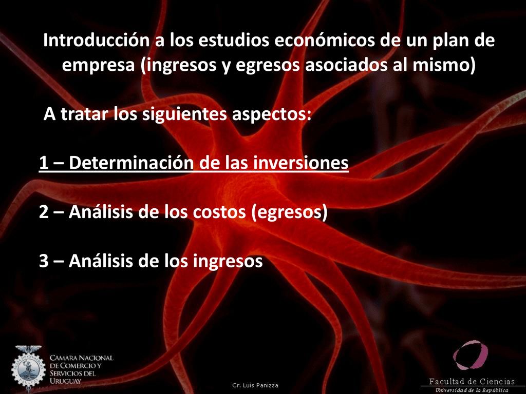 Introducción a los estudios económicos de un plan de empresa (ingresos y egresos asociados al mismo)