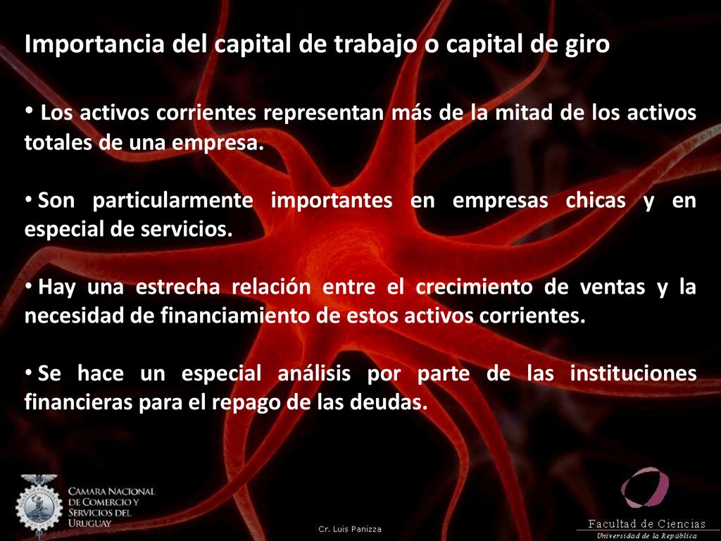 Importancia del capital de trabajo o capital de giro