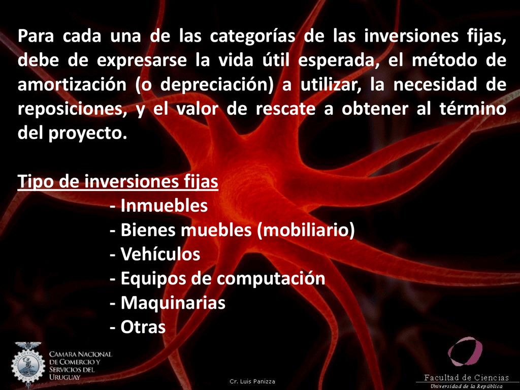 Para cada una de las categorías de las inversiones fijas, debe de expresarse la vida útil esperada, el método de amortización (o depreciación) a utilizar, la necesidad de reposiciones, y el valor de rescate a obtener al término del proyecto.