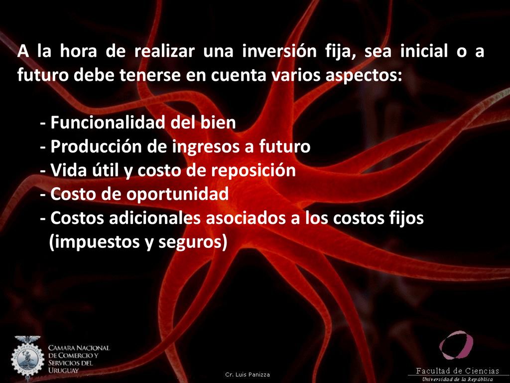 A la hora de realizar una inversión fija, sea inicial o a futuro debe tenerse en cuenta varios aspectos: