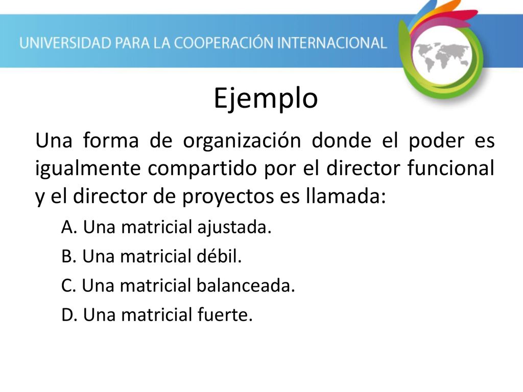 Ejemplo Una forma de organización donde el poder es igualmente compartido por el director funcional y el director de proyectos es llamada: