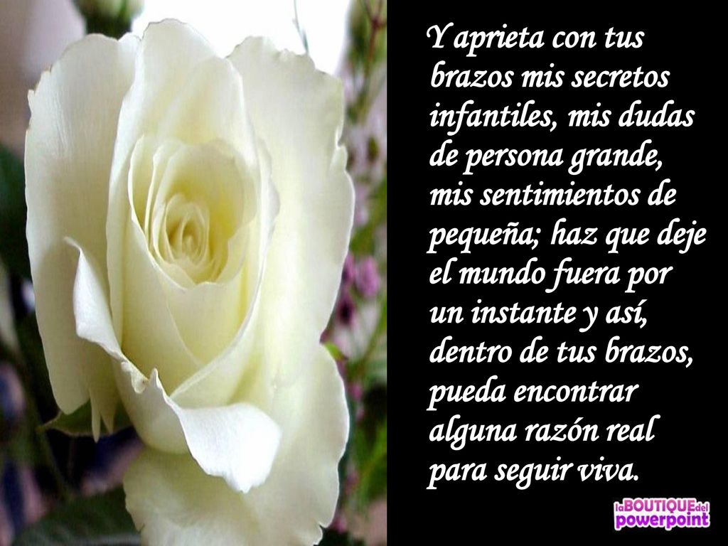 Y aprieta con tus brazos mis secretos infantiles, mis dudas de persona grande, mis sentimientos de pequeña; haz que deje el mundo fuera por un instante y así, dentro de tus brazos, pueda encontrar alguna razón real para seguir viva.