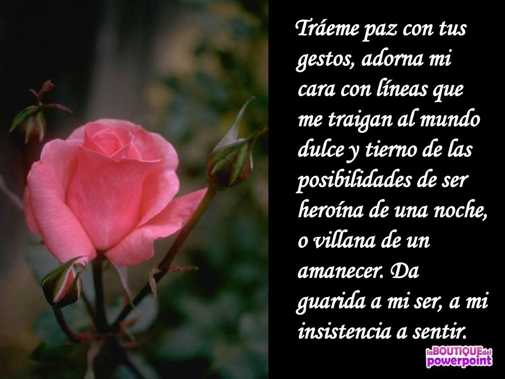 Tráeme paz con tus gestos, adorna mi cara con líneas que me traigan al mundo dulce y tierno de las posibilidades de ser heroína de una noche, o villana de un amanecer.