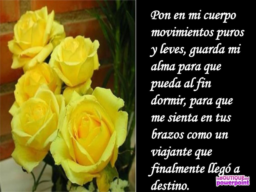 Pon en mi cuerpo movimientos puros y leves, guarda mi alma para que pueda al fin dormir, para que me sienta en tus brazos como un viajante que finalmente llegó a destino.
