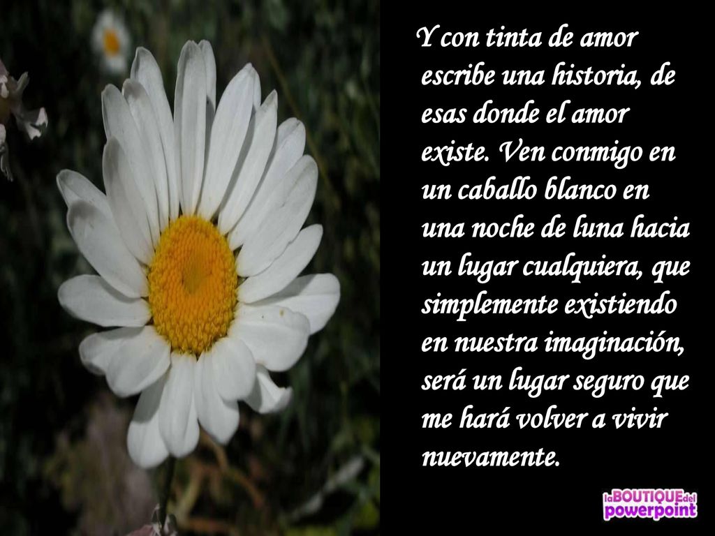 Y con tinta de amor escribe una historia, de esas donde el amor existe