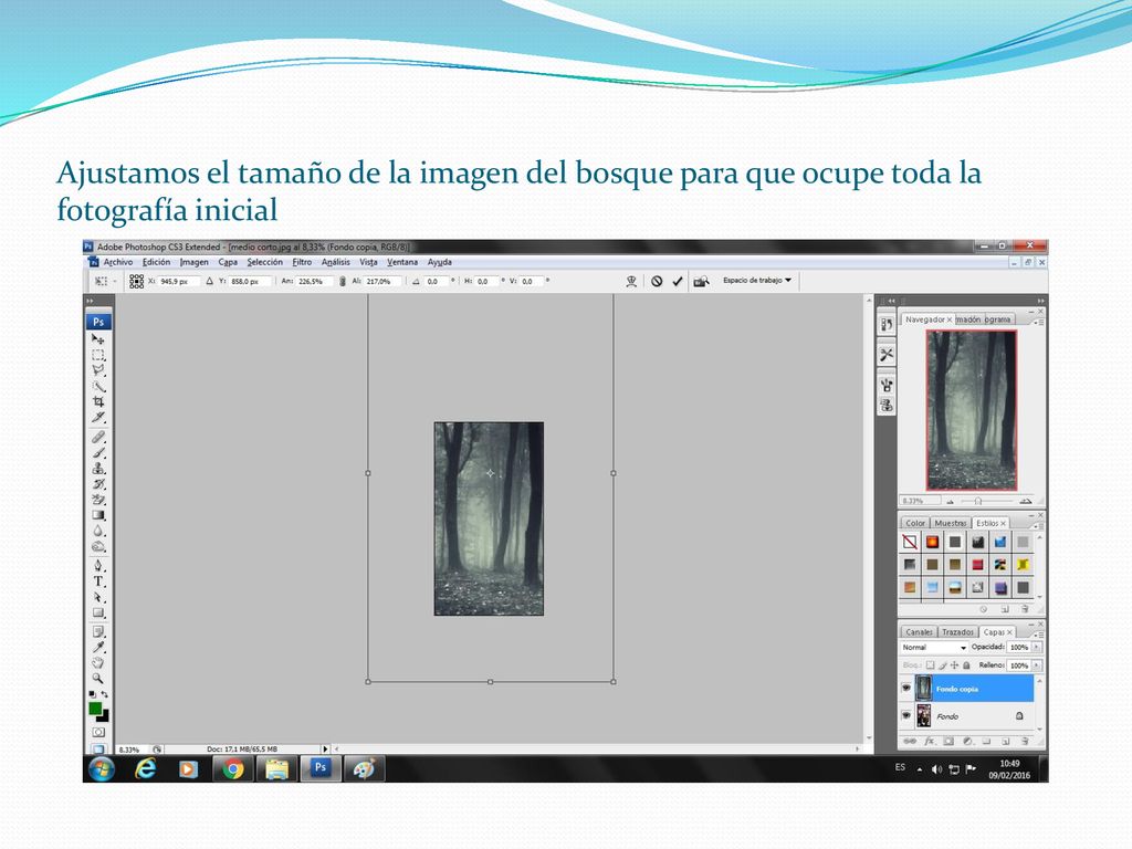 Ajustamos el tamaño de la imagen del bosque para que ocupe toda la fotografía inicial