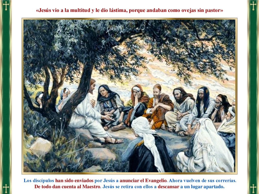 «Jesús vio a la multitud y le dio lástima, porque andaban como ovejas sin pastor»