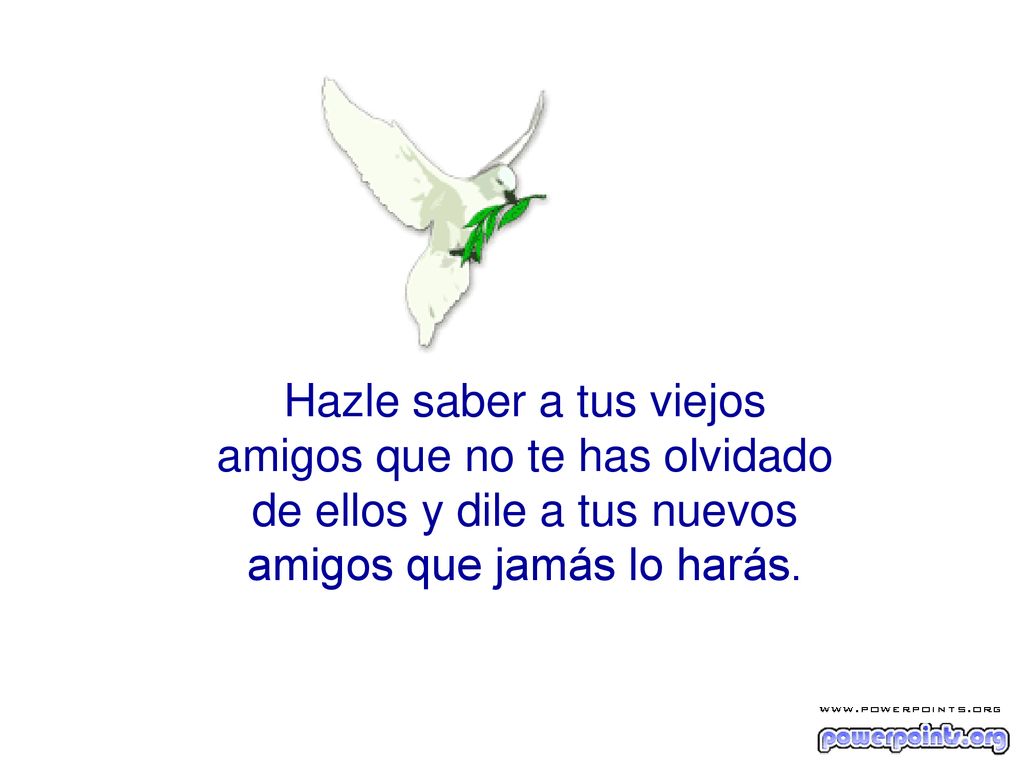 Hazle saber a tus viejos amigos que no te has olvidado de ellos y dile a tus nuevos amigos que jamás lo harás.