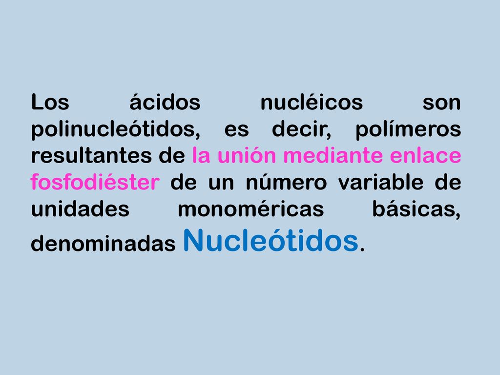 Los ácidos nucléicos son polinucleótidos, es decir, polímeros resultantes de la unión mediante enlace fosfodiéster de un número variable de unidades monoméricas básicas, denominadas Nucleótidos.
