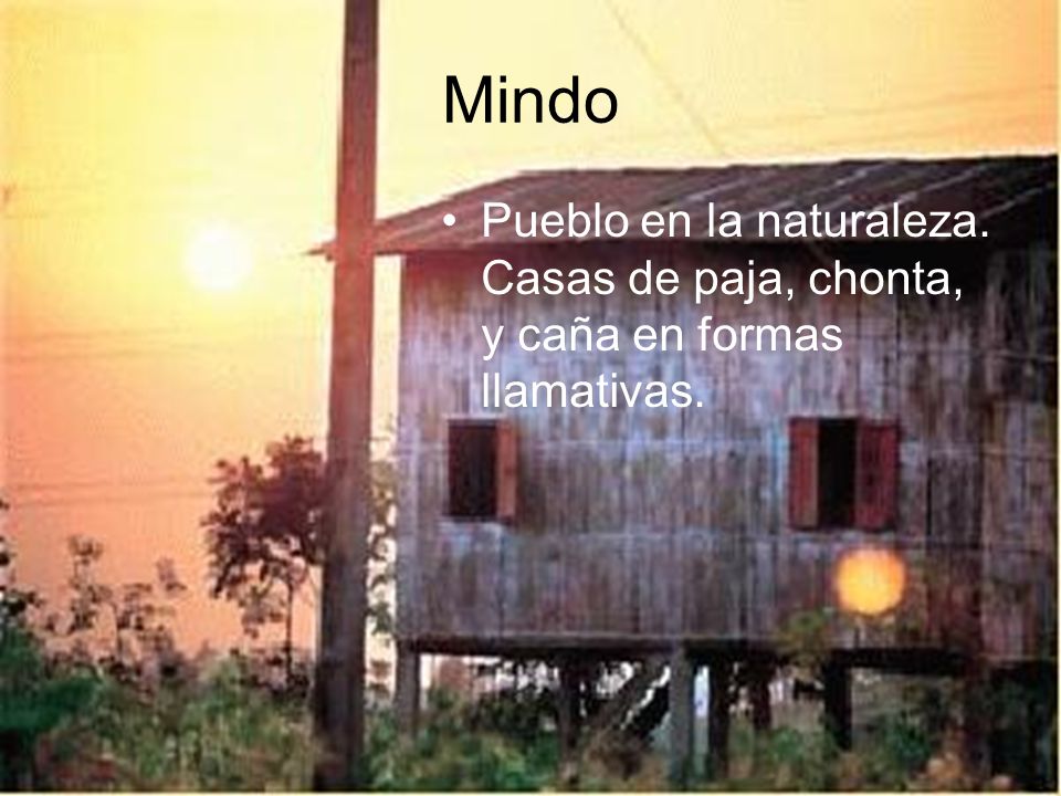 Mindo Pueblo en la naturaleza. Casas de paja, chonta, y caña en formas llamativas.