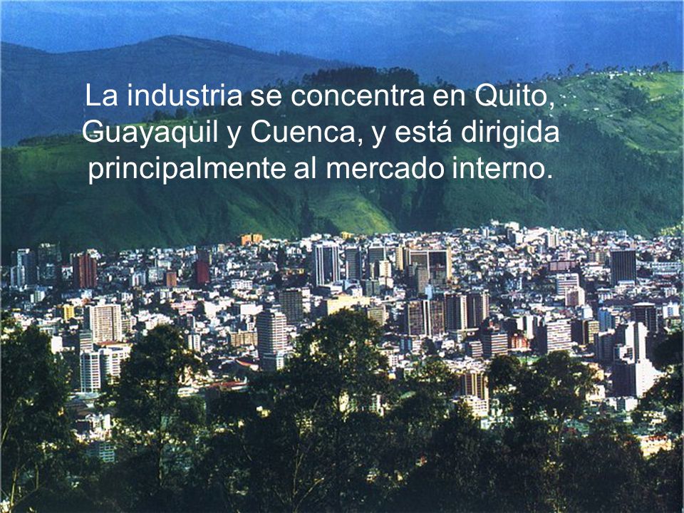 La industria se concentra en Quito, Guayaquil y Cuenca, y está dirigida principalmente al mercado interno.