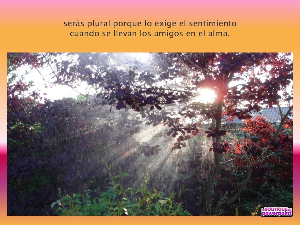 serás plural porque lo exige el sentimiento cuando se llevan los amigos en el alma.
