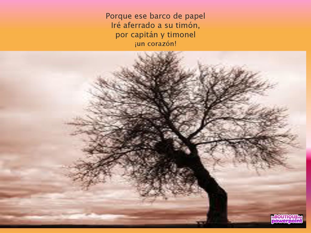 Porque ese barco de papel Iré aferrado a su timón, por capitán y timonel ¡un corazón!