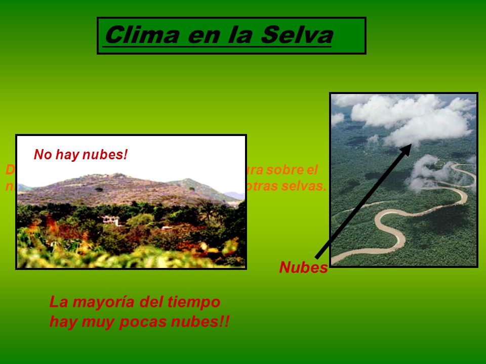 Clima en la Selva Nubes La mayoría del tiempo hay muy pocas nubes!!