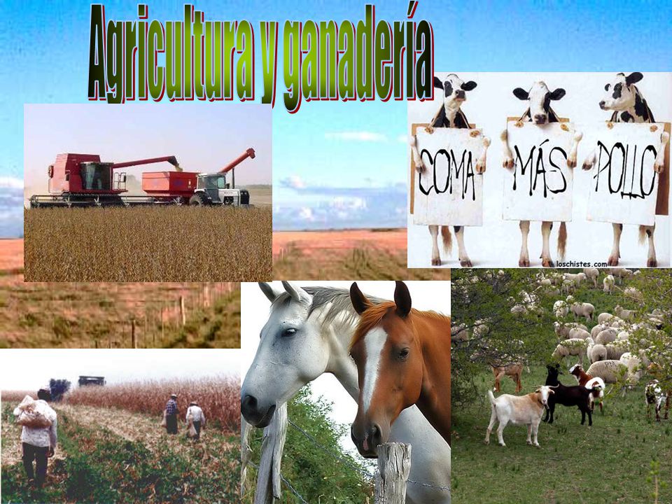 Agricultura y ganadería