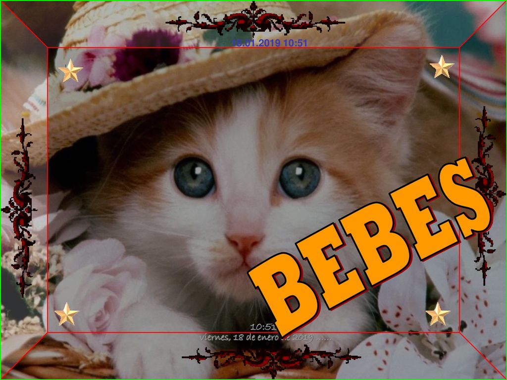 :51 BEBES 10:51 h. viernes, 18 de enero de 2019 ……