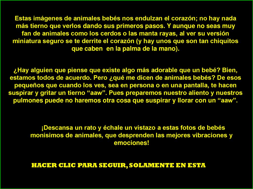 Estas imágenes de animales bebés nos endulzan el corazón; no hay nada más tierno que verlos dando sus primeros pasos. Y aunque no seas muy fan de animales como los cerdos o las manta rayas, al ver su versión miniatura seguro se te derrite el corazón (y hay unos que son tan chiquitos que caben en la palma de la mano).