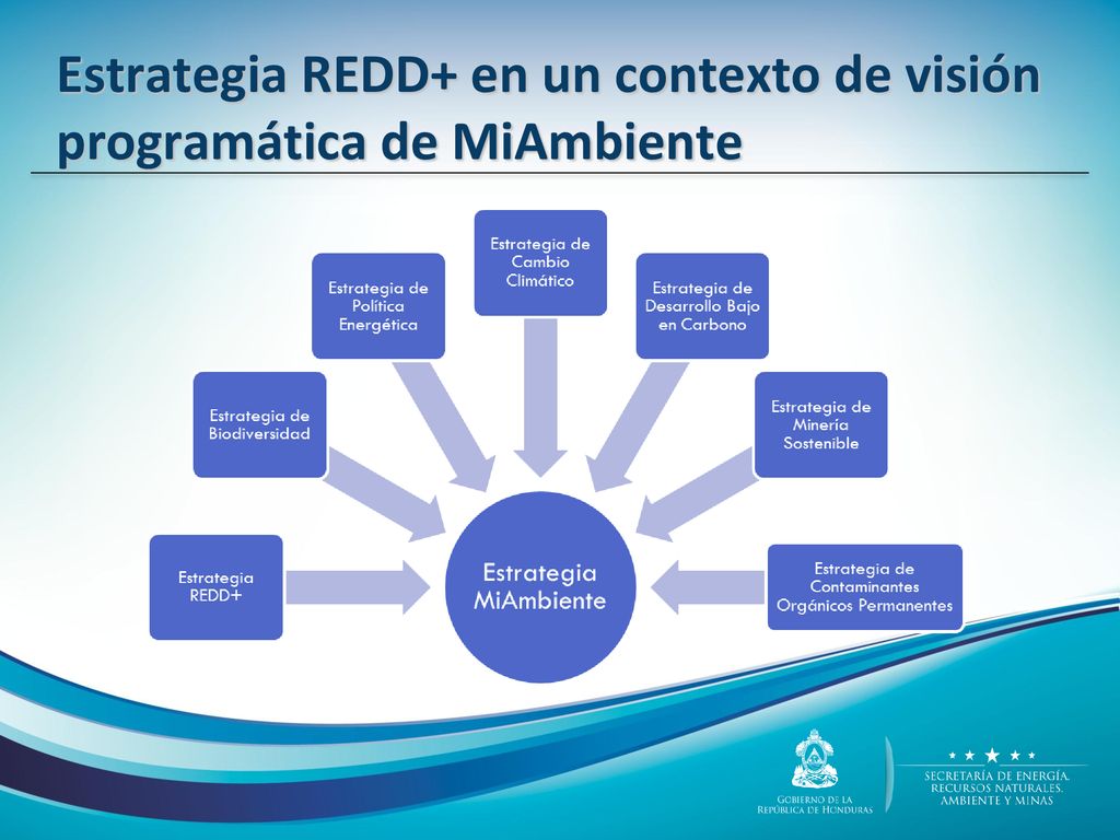 Estrategia REDD+ en un contexto de visión programática de MiAmbiente