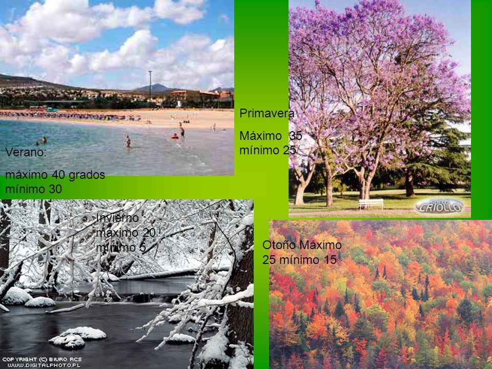Primavera Máximo 35 mínimo 25. Verano: máximo 40 grados mínimo 30. Invierno máximo 20 mínimo 5.