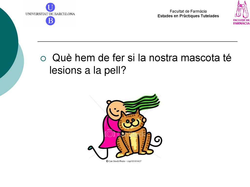 Què hem de fer si la nostra mascota té lesions a la pell