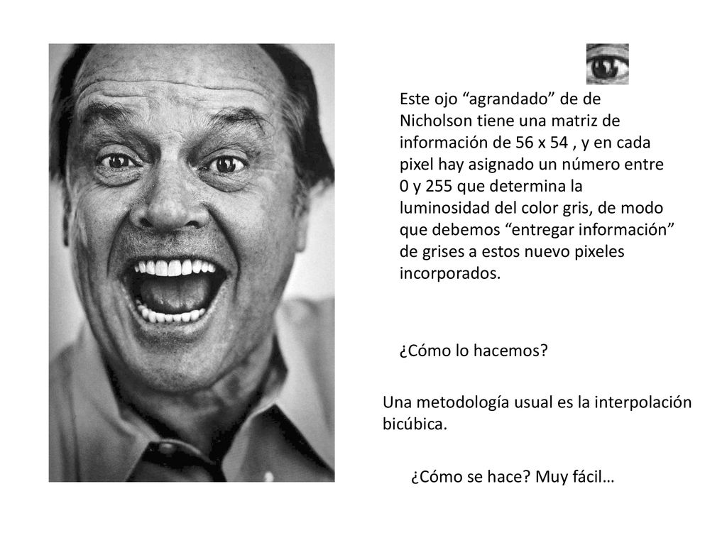Este ojo agrandado de de Nicholson tiene una matriz de información de 56 x 54 , y en cada pixel hay asignado un número entre 0 y 255 que determina la luminosidad del color gris, de modo que debemos entregar información de grises a estos nuevo pixeles incorporados.