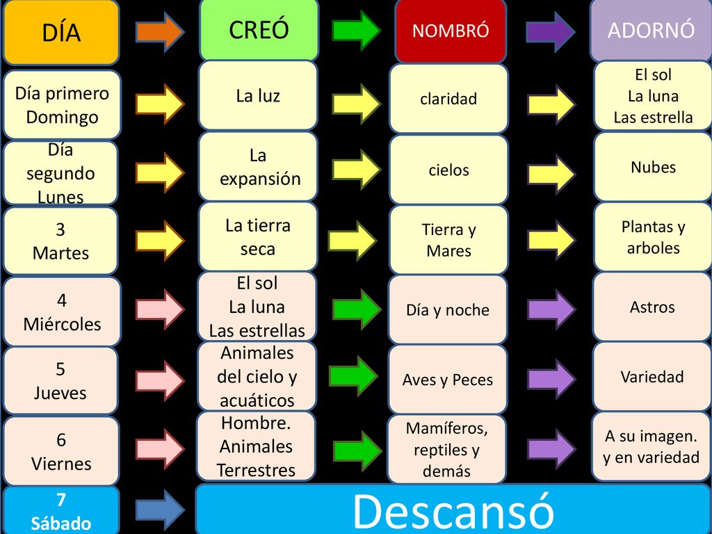 Descansó CREÓ DÍA ADORNÓ NOMBRÓ La luz Día primero Domingo La