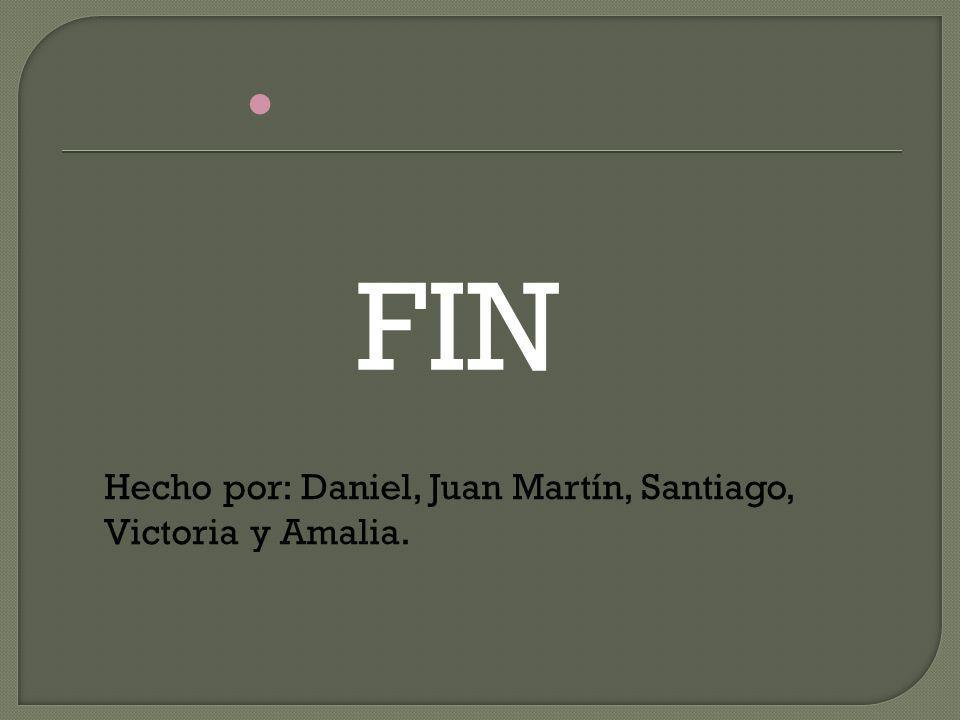 FIN Hecho por: Daniel, Juan Martín, Santiago, Victoria y Amalia.