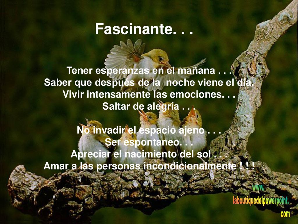 Fascinante. . . Tener esperanzas en el mañana . . .