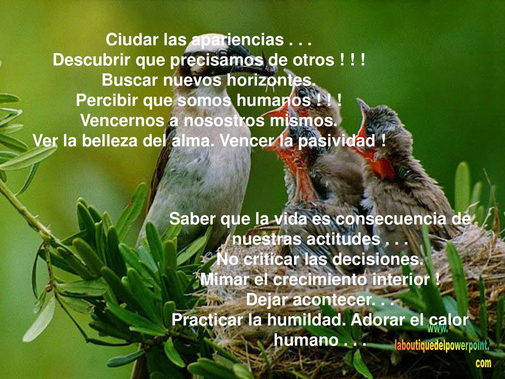 Ciudar las apariencias Descubrir que precisamos de otros ! ! !