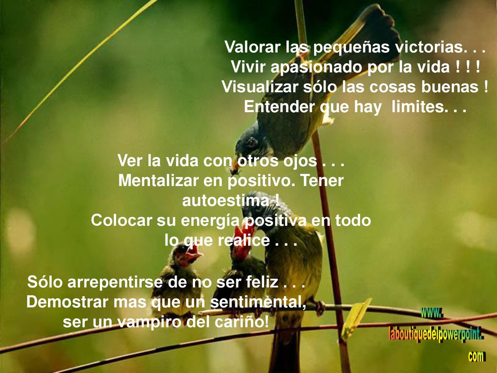 Valorar las pequeñas victorias. . . Vivir apasionado por la vida ! ! !