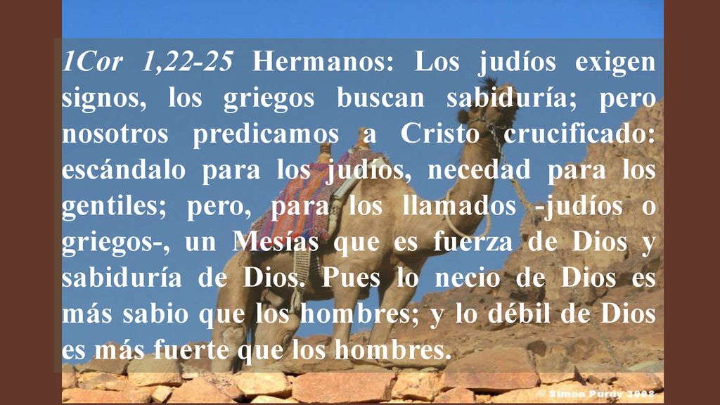 1Cor 1,22-25 Hermanos: Los judíos exigen signos, los griegos buscan sabiduría; pero nosotros predicamos a Cristo crucificado: escándalo para los judíos, necedad para los gentiles; pero, para los llamados -judíos o griegos-, un Mesías que es fuerza de Dios y sabiduría de Dios.